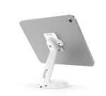 Compulocks GLDTABW soporte de seguridad para tabletas 38,1 cm (15")