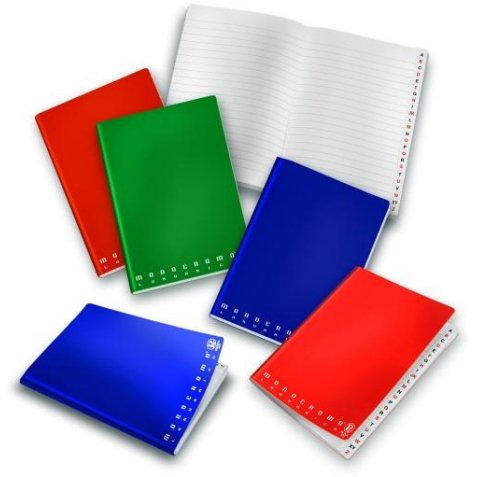 Pigna Monocromo quaderno per scrivere A5 Multicolore