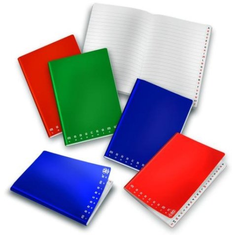 Pigna Monocromo quaderno per scrivere A5 Multicolore