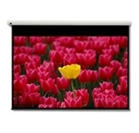Optoma Pantalla 16:9 2656 x 1494mm projection screen 3.05 m (120")