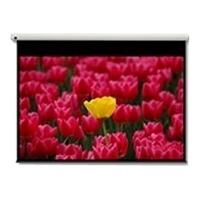 Optoma Pantalla 16:9 2656 x 1494mm projectiescherm 3,05 m (120")