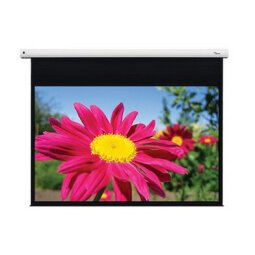 Optoma DE-1123EGA - projection screen - 123" (312 cm)