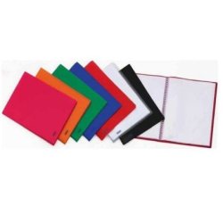 Favorit 100460299 folder Polypropylene (PP) Green A4