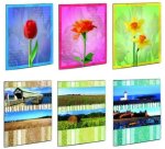 Lebez 2742 photo album Multicolour 20 sheets 10 x 15 cm