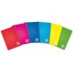 Blasetti One Color writing notebook A4 21 sheets Multicolour