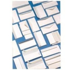 Blasetti Gommato 100 busta Bianco 500 pz