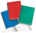 Maxiquaderno Monocromo - A4 - 1 rigo - 100 fogli - 80gr - 1 rigo - c/fori - spiralato - Pigna