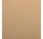 Etival Color paquet 25F A3 160g - Camel