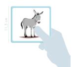 Imagier, Animaux familiers - Multicolore