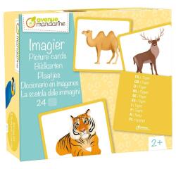 Imagier, Animaux sauvages - Multicolore