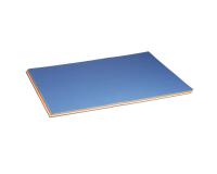 Tulipe rame 24F 50x65cm 160g