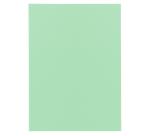 Paquete de 100 Subcarpetas de papel Exacompta SUPER 60 g/m2 - Colores surtidos