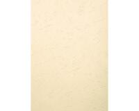 Forever Pak van 100 inbindkaften 270g/m2 voor A4 bindrug.