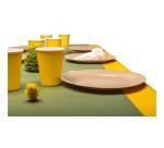 Caminos de mesa - Spunbond 24x0,40 m