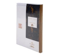 ENSEMBLE 10 CARTES 10 ENVELOPPES C6 SPECIAL LALO 100 ANS - Bleu