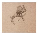 Flying Spirit carnet cousu 50F 15,5x15,5cm 90g - Kraft brun