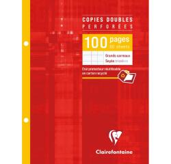 Copies doubles sous étui 17x22cm 100 pages perforées 2 trous grands carreaux
