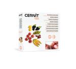 Kit starter, Miniatures Fruits