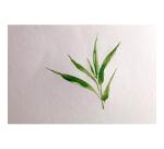 Bamboo spiraalblok 15 blad 19x26cm 250g