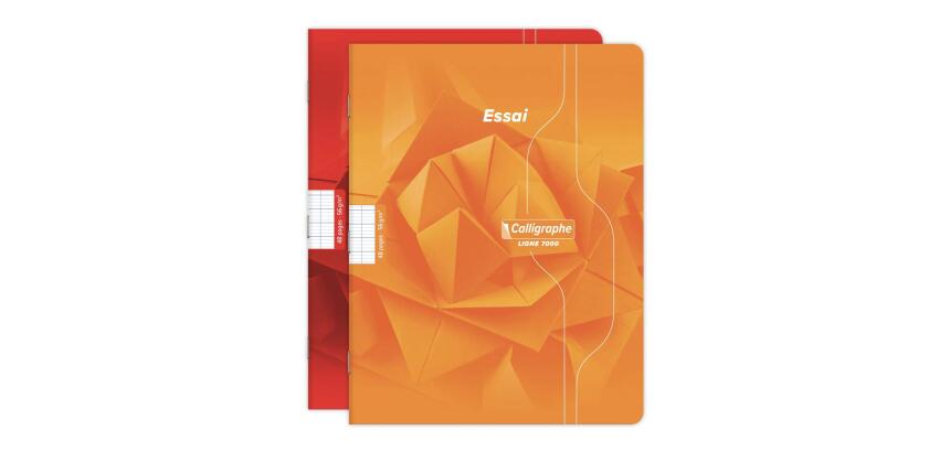 Cahier d'essai piqué 7000 17x22 cm 48 pages grands carreaux 56 g - Assortis