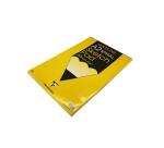 Goldline Sketch bloc spiralé 120F A2 95g