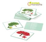 Imagier, Arbres - Multicolore