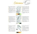 ODELIA, Bloc de coloriage multi-techniques de 20 feuilles A4 250g, Les animaux