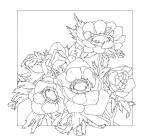 Carré 100% soie - 90x90cm Anemones - Blanc