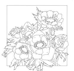 Carré 100% soie - 90x90cm Anemones - Blanc