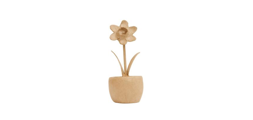 Jonquille en pot - Kraft