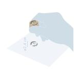 Tampons, Appréciations - Marron