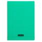 Cahier piqué 8000 POLYPRO A4 140 pages grands carreaux 90 g - Vert