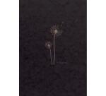 Flying Spirit carnet dos carré 60F 19x25cm 90g - Noir