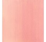 Aquarelle extra-fine demi-godet