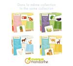 Imagier, Vêtements - Multicolore