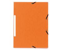 Folder 3 Flap Elastic+Label Recycle Ast