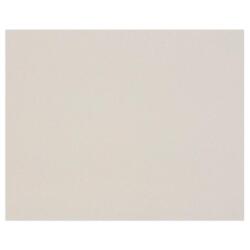 Carton Gris 0,7mm 20F 80x120cm 420g - Gris