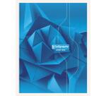 7000, Notitieschrift harde kaft genaaid 24x32cm 144 blad séyès 70g. - Geassorteerde kleuren