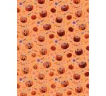 Mix & Patch - Halloween - Assortiment