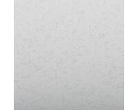 Ingres Pastel paquet 25F 50x65cm 130g