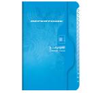 Répertoire piqué 7000 11x17 cm 96 pages petits carreaux 70 g - Assortis