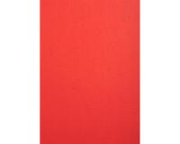 Forever Pak van 100 inbindkaften 270g/m2 voor A4 bindrug.