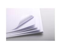 Bristol rame 25F 50x65cm 205g feuilles quadrillées 5/5