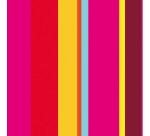 Barquette de 400 sets de table papier gaufré recyclé 80g/m2, Acidulé - Format 30x40cm - Acidulé