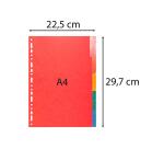 Tabbladen glanskarton 225g met geplastificeerde gekleurde tabs - 5 tabs - A4