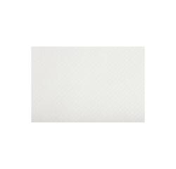 Manteles individuales lisos - Papel gofrado Tiss Lack 30x40 cm - Blanco