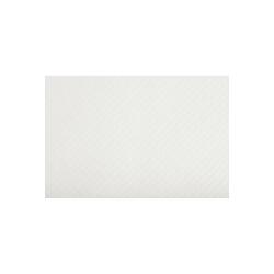 PLACEMATS ICE WHITE 30X40CM PK 500 - White