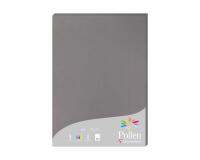 Etui de 25 feuilles Pollen 210x297 210g/m2 - Gris acier