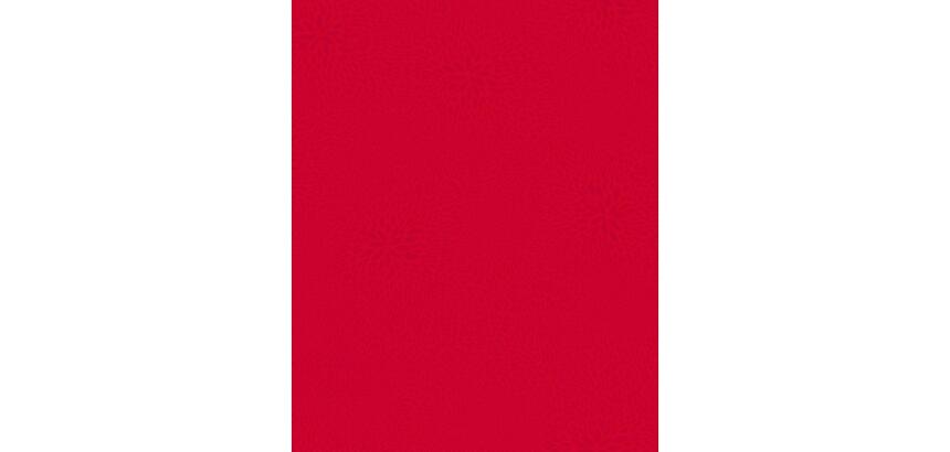 724 - Pochette 20 feuilles Décopatch - Rouge