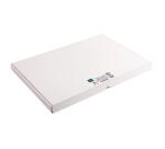 Estuche Exacompta de 100 fichas Exacompta cartulina Bristol - Liso sin taladro 297x420mm - Blanco